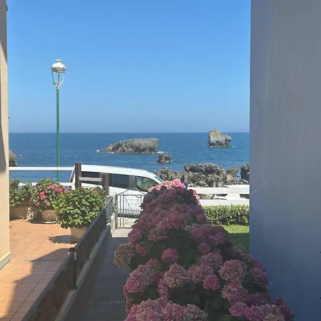 Pinedo Ii - 6816 * Noja