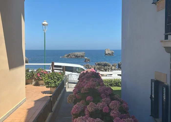 Pinedo Ii - 6816 * Noja